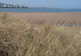 Photograph of a beach