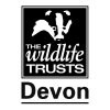 Logo for Devon Wildlife Trust