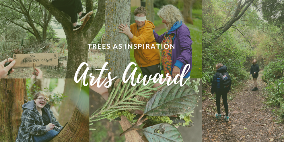 Trees as Inspiration