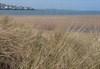 Photograph of a beach