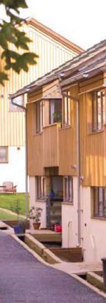 Photograph of a row of eco-houses
