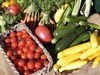 Photograph of an assortment of summer vegetables