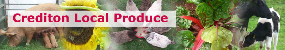 Logo for Crediton Local Produce