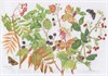Watercolour painting of a September Hedgerow © Sandra Chalton