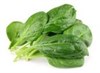picture of spinach