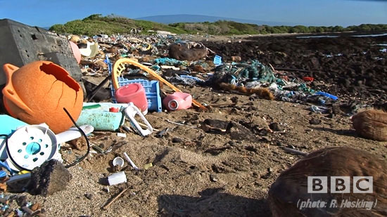 Photograph of plastic debris washed up on a beach