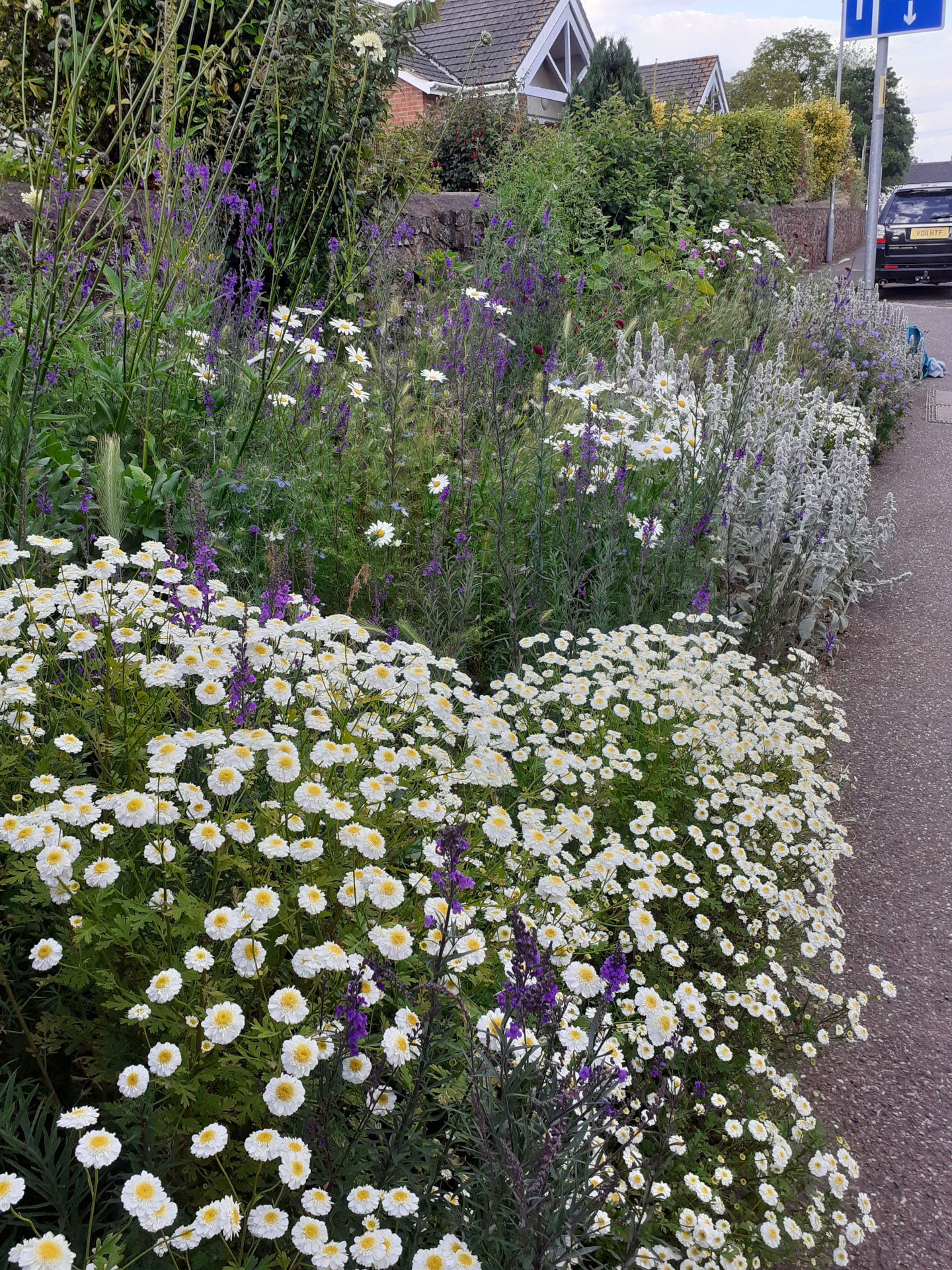 Pollinator plot