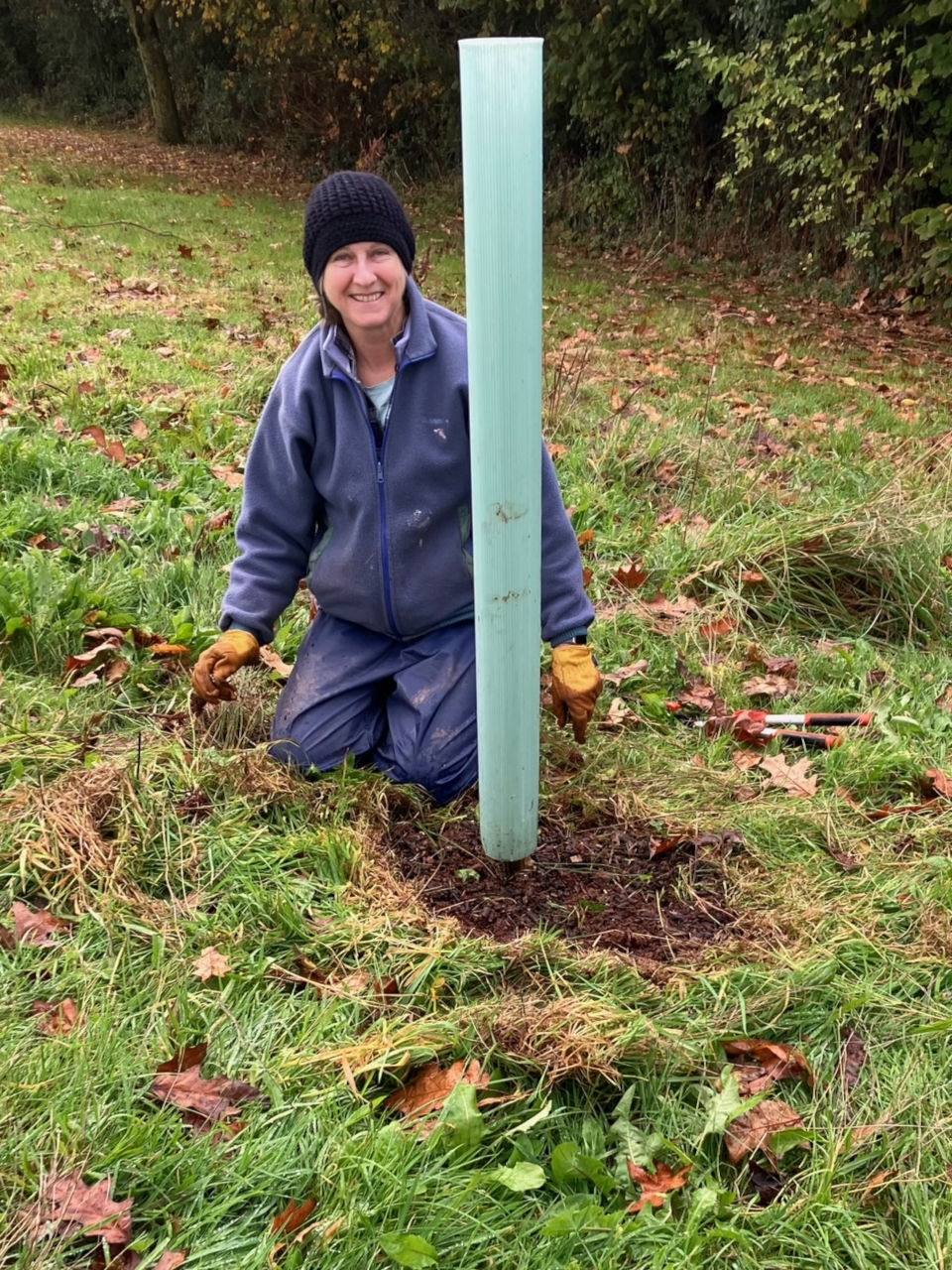 Tree Team - Sustainable Crediton
