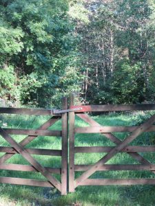 Woodland Management Group Working Party