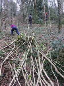 WMG running-poles-down-the-hill
