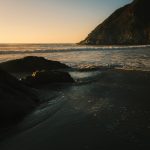 System Update: Rebooting our future: screening