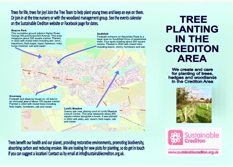 Tree Planting in Crediton