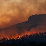 Sustainable Crediton Newsletter 183, September 2026